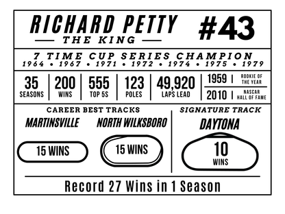NASCAR Driver Career Plaque Hardwood 6x8